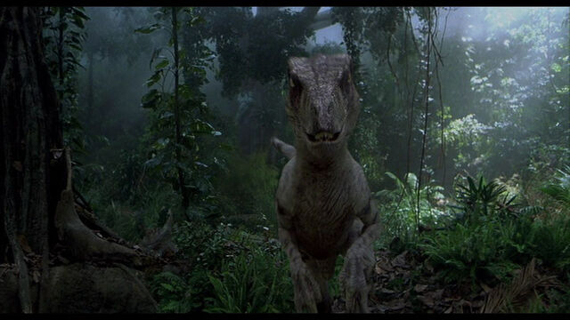 File:RaptorFront.jpg