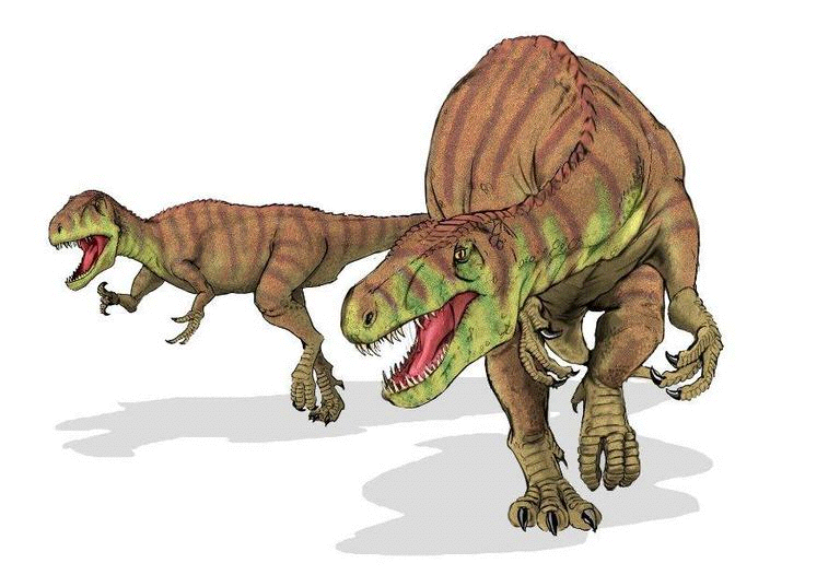 Afrovenator | Dinopedia | FANDOM powered by Wikia