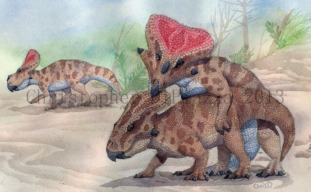File:Protoceratops (wm).jpg