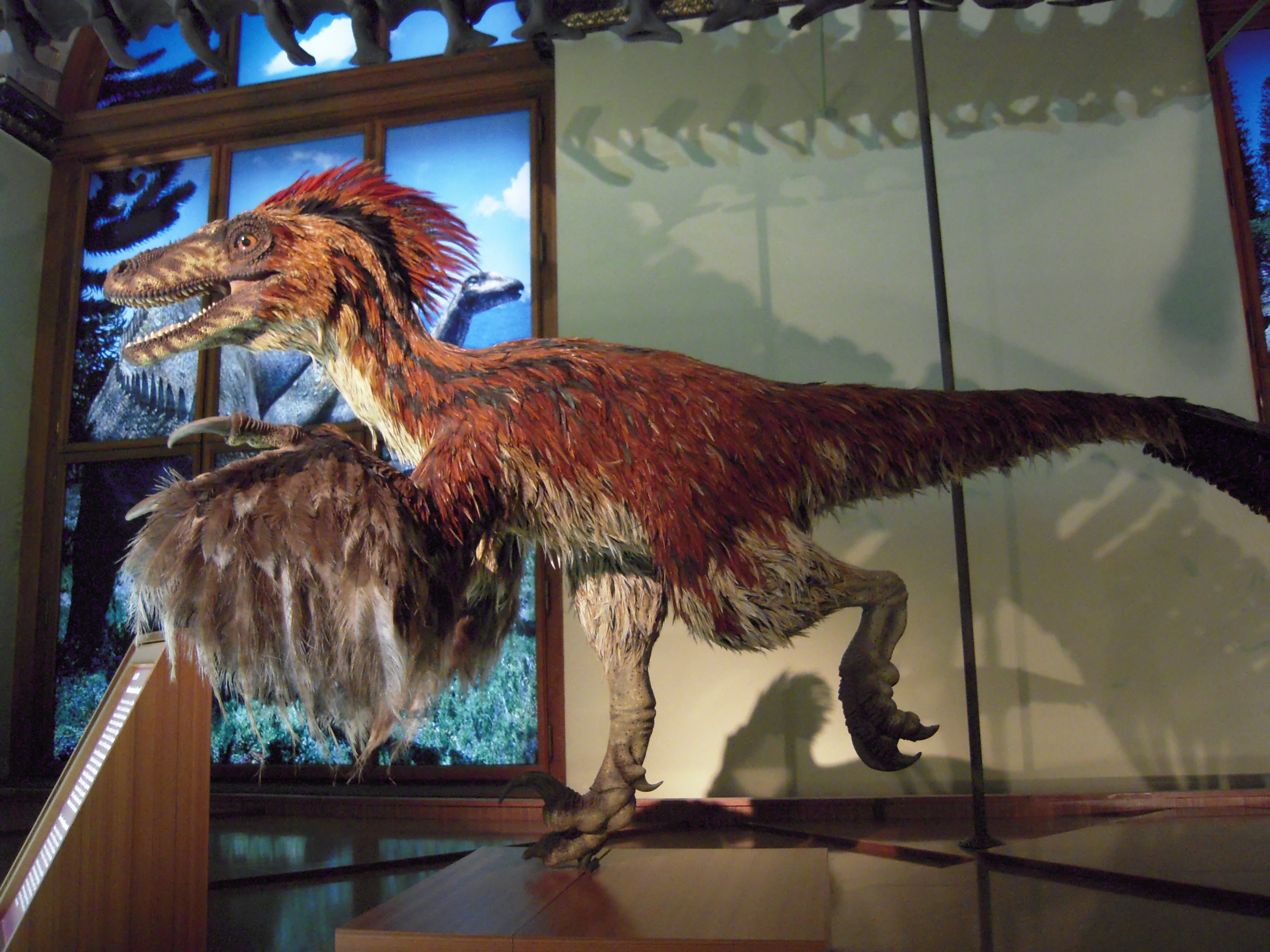 Deinonychus_im_NHM_Wien.jpg
