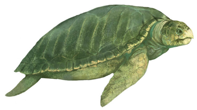 File:PhpThumb.jpg