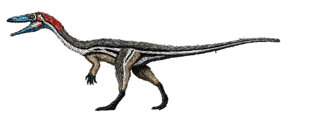File:Coelophysis feathers.png