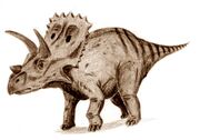 Arrhinoceratops-Arthur-Weasley