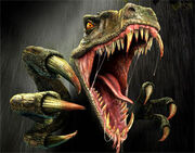 Roar