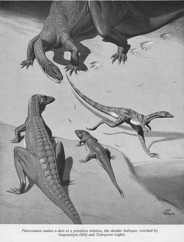 File:Neave Parker Plateosaurus.jpg