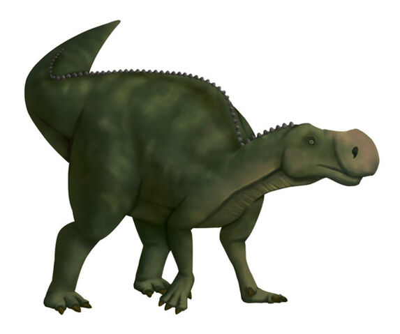 File:11387522e302e010dcd47ec58c3c219e.jpg