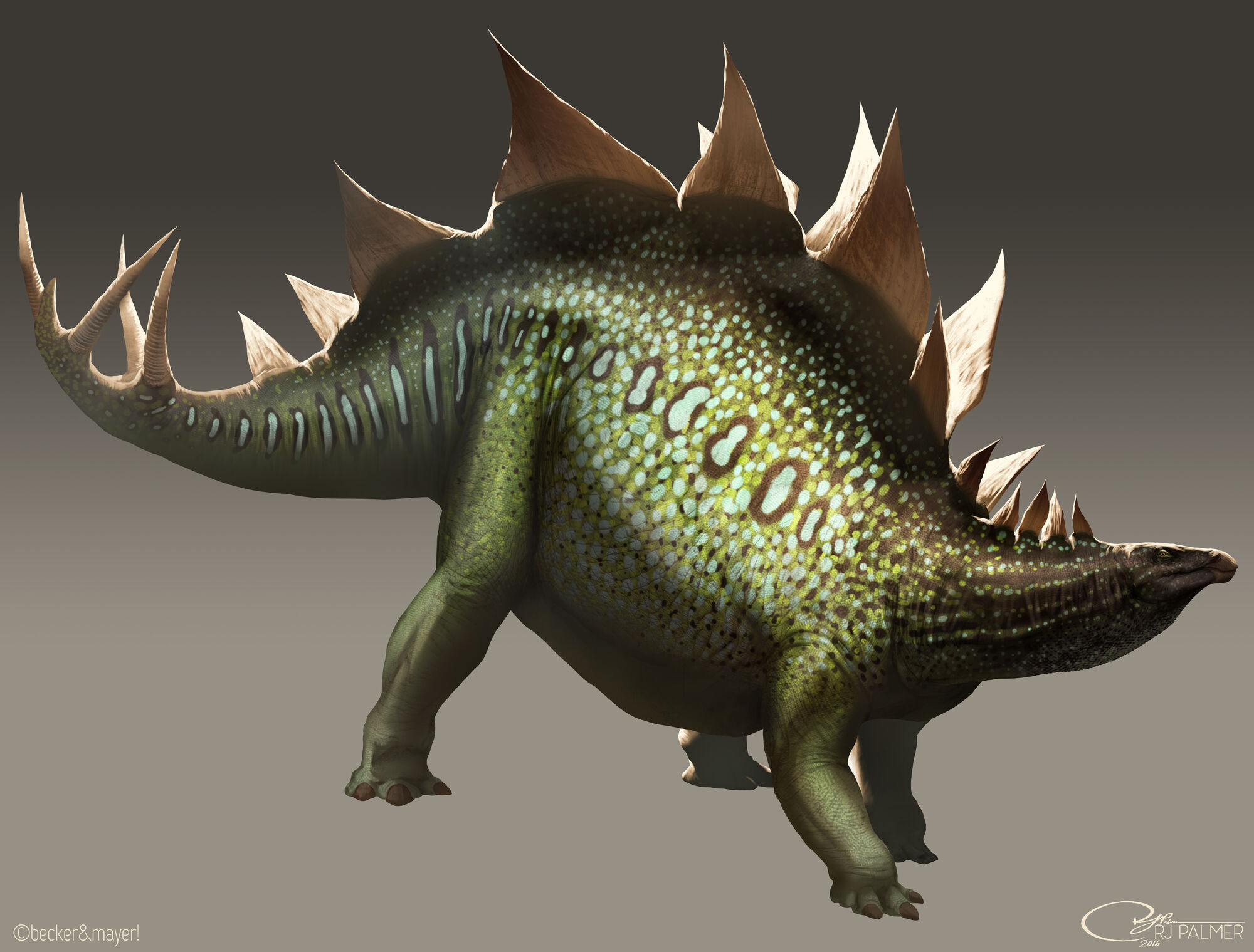 extinction of dinosaurs cause