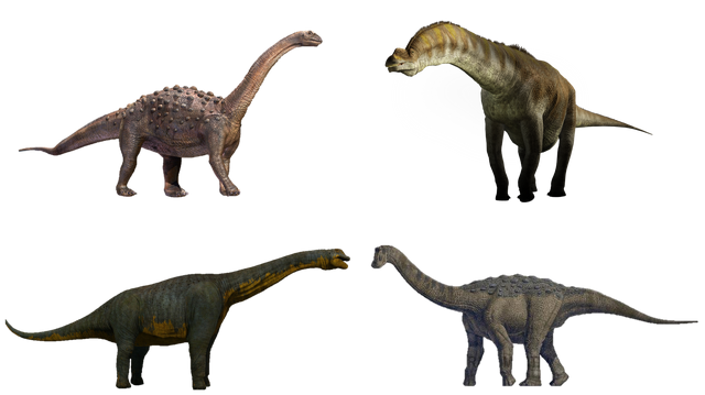 File:Titanosauria.png