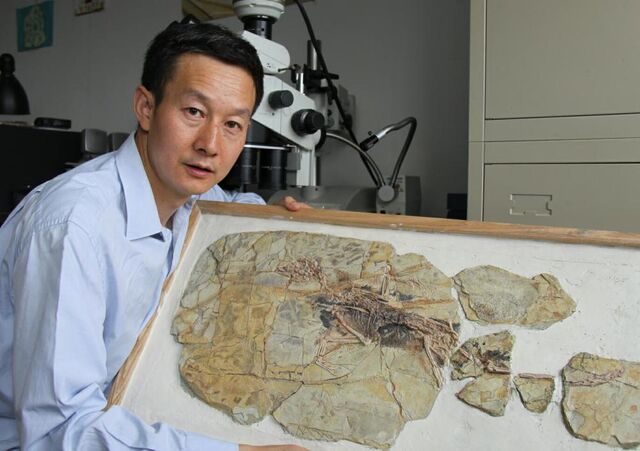 File:Xu-and-xiaotingia-in-lab.jpg