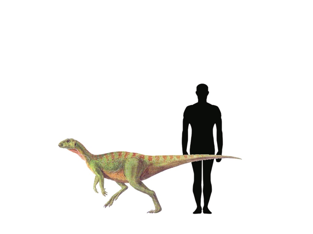 hypsilophodon jurassic park