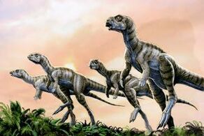 Llamaban-trinisaura-L-SVe2IT