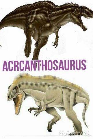 File:Acrcanthosaurus.jpg