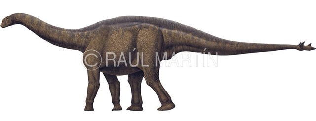 File:Shunosaurus.jpg