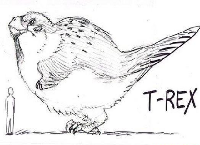 File:Birbo rex xdd.png