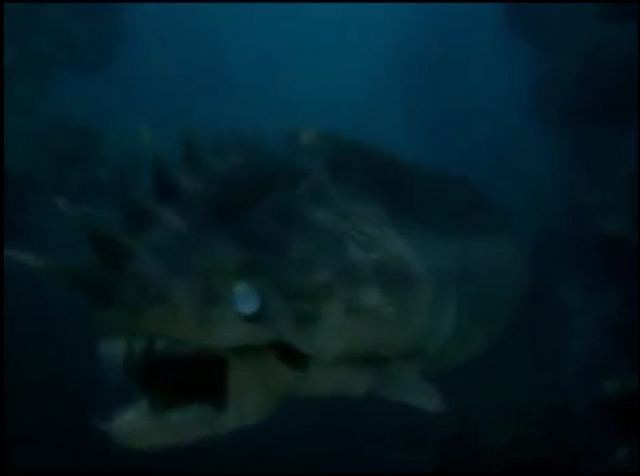 File:Screenshot (925).png