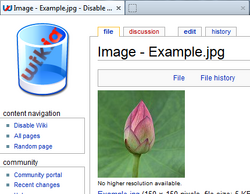 File description page title