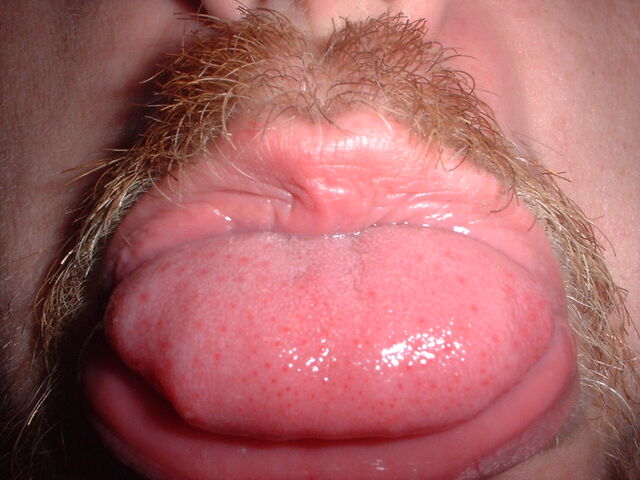 File:DSCF0019.jpg