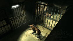 Wolfhound.png
