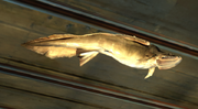 Screens01 fish