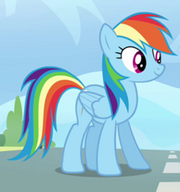 225px-Rainbow Dash ID S3E7