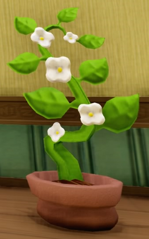 File:Potted Vine.png
