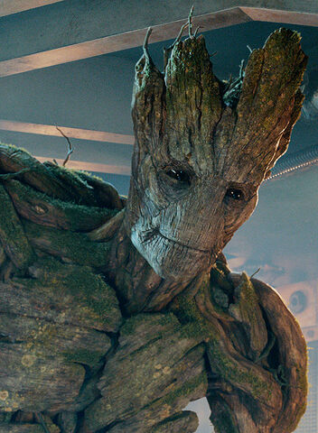File:Groot2.jpg