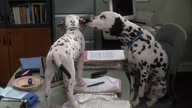 File:102-dalmatians-disneyscreencaps.com-2551.jpg