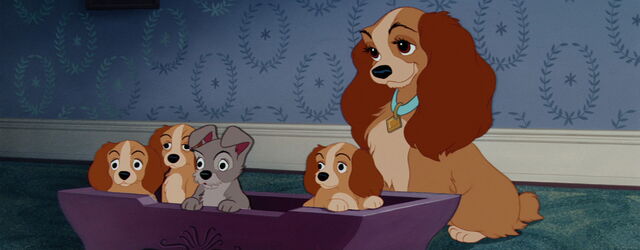 File:Lady-tramp-disneyscreencaps.com-8492.jpg
