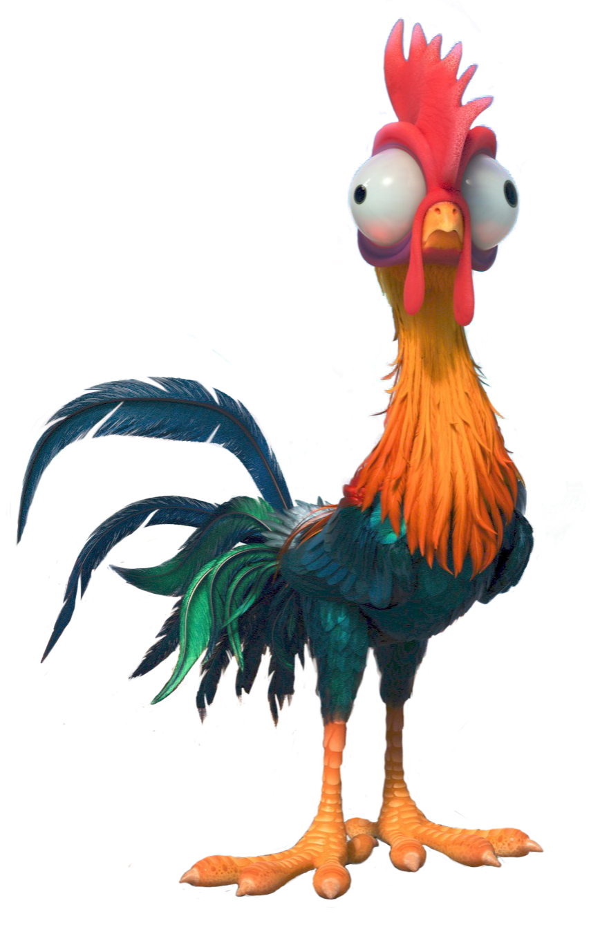 What Is The Point Of Having A Chicken Accompany Moana And Maui Quora What Is The Point Of Having A Chicken Accompany Moana And Maui Quora