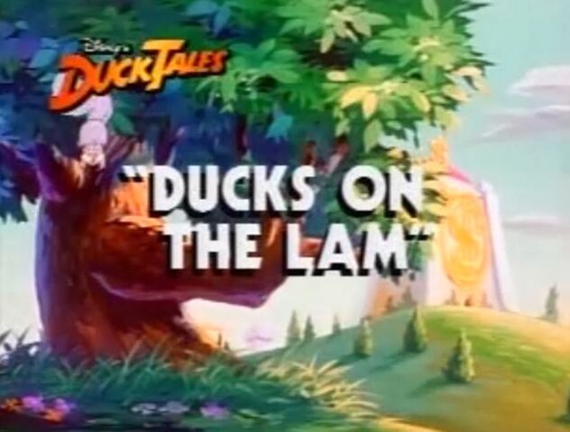 File:DucksontheLam - 04.jpg