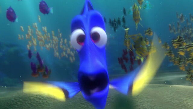 File:Finding-nemo-disneyscreencaps.com-1783.jpg
