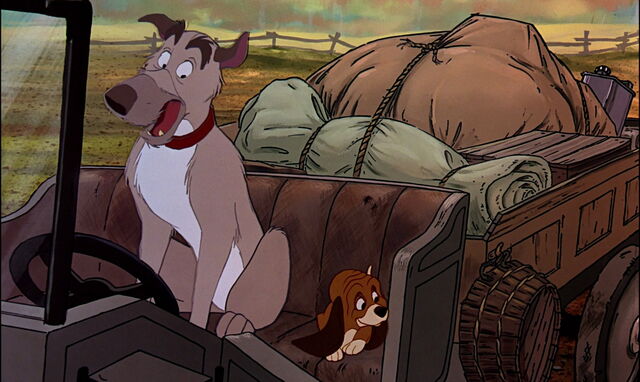 File:Fox-and-the-hound-disneyscreencaps.com-3110.jpg