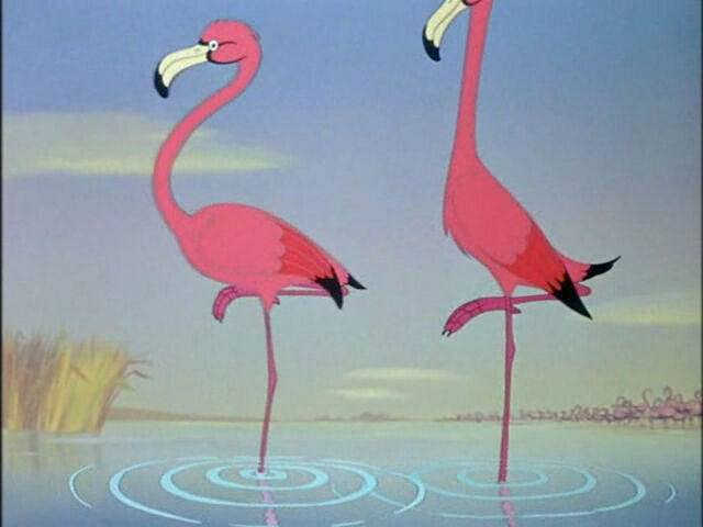 File:Three-caballeros-disneyscreencaps.com-1439.jpg