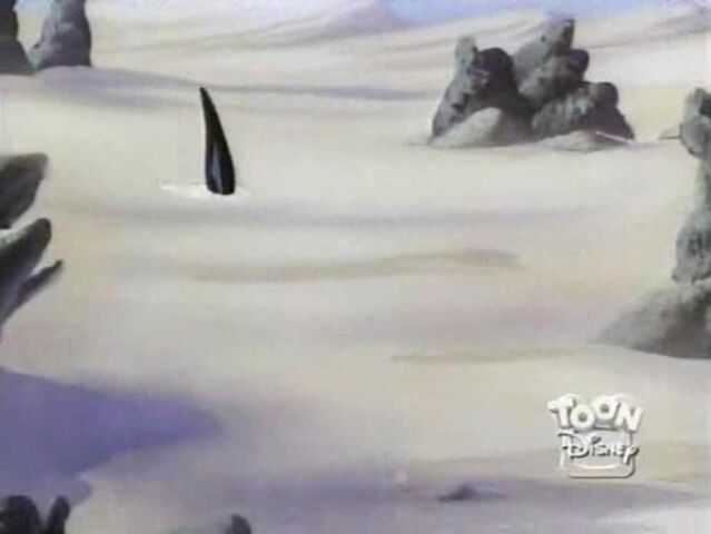 File:Sand Shark 42.jpg