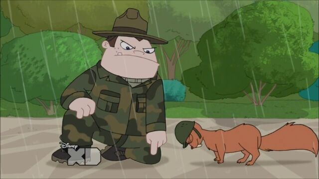 File:Buford squirrel push-up.jpg