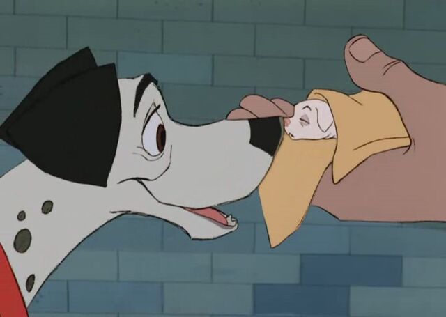 File:Pon13.jpg