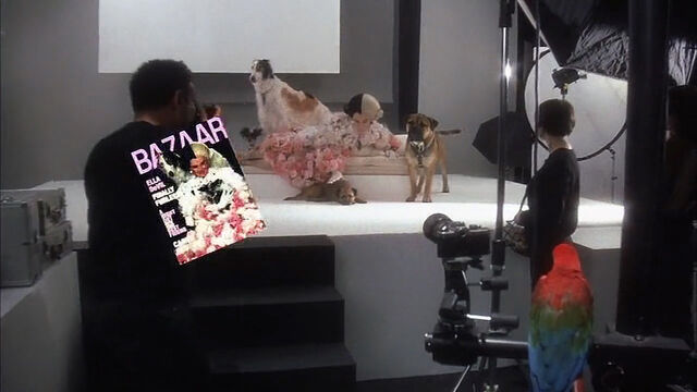 File:102-dalmatians-disneyscreencaps com-2345.jpg