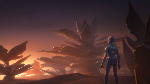 File:Warhead 1.jpg