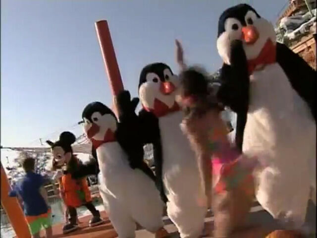 File:WaiterPenguinsinBeachPartyatWaltDisneyWorld.jpg