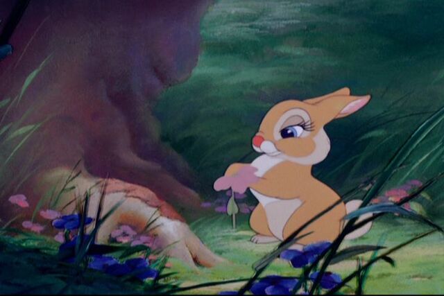 File:Bambi 329.jpg
