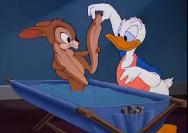 File:Duck Daddy 2.jpg