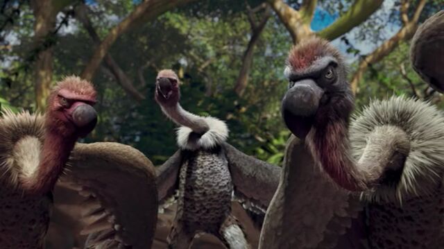 File:Vultures the wild.jpg