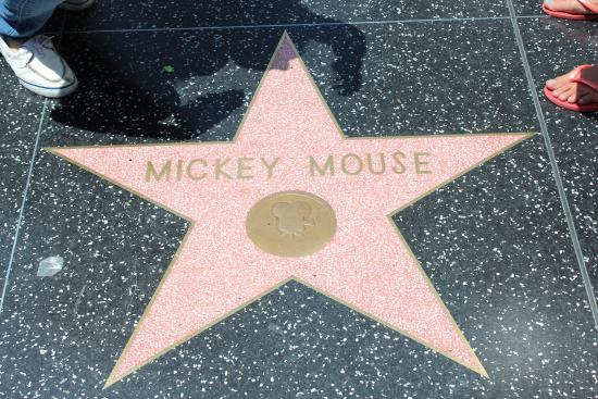 File:Mickey-hollywood-walk-of-fame.jpg