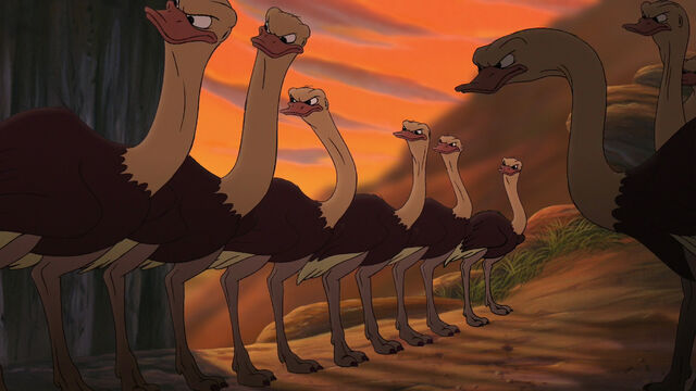 File:Struthio Camelus.jpg