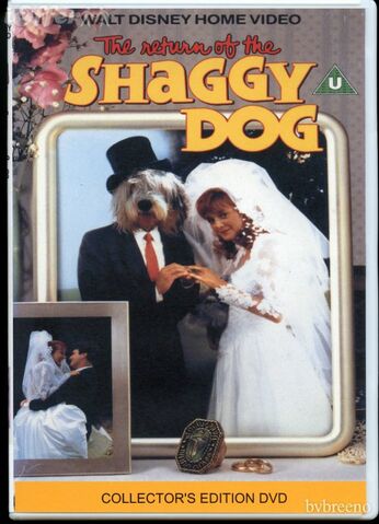 File:The-return-of-the-shaggy-dog-dvd-disney-c657.jpg