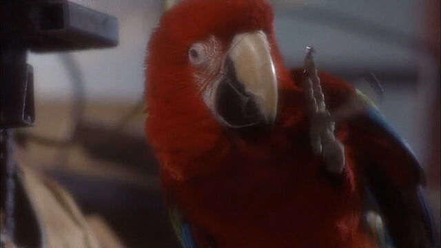 File:102-dalmatians-disneyscreencaps com-801.jpg