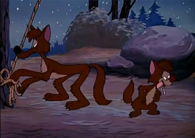 File:Camp Dog Coyotes.jpeg
