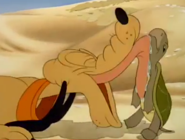 File:Capture -36.png