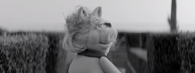 File:Moi video 05.jpg