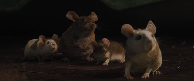 File:Cinderell-2015-disneyscreencaps.com-1344.jpg